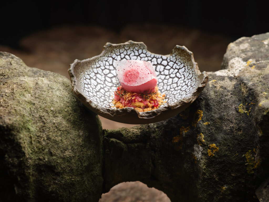 Forced Yorkshire rhubarb with delicate garden floral garnishes